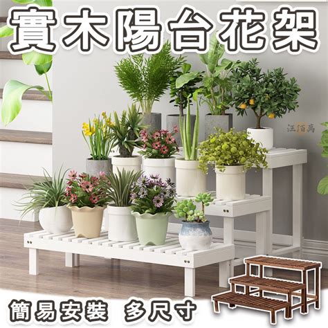 窗台植栽|【窗台植栽】窗台植物推薦！12 種超迷你多肉植物 – 駱影旎師傅